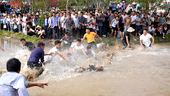 貴州惠水崗度鎮：國慶享豐收 歡歌頌振興