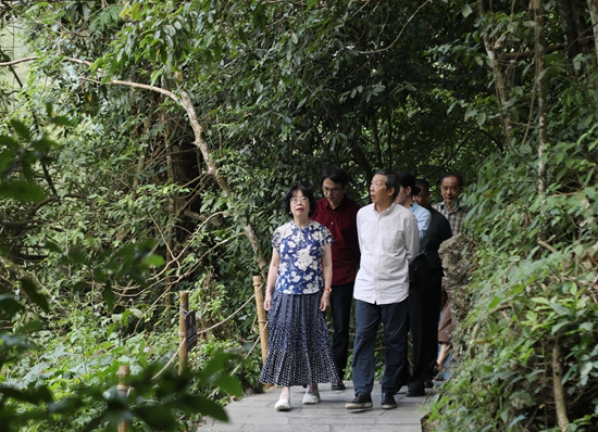 貴州荔波舉辦詩會活動 在“地球綠寶石”邂逅詩與遠方