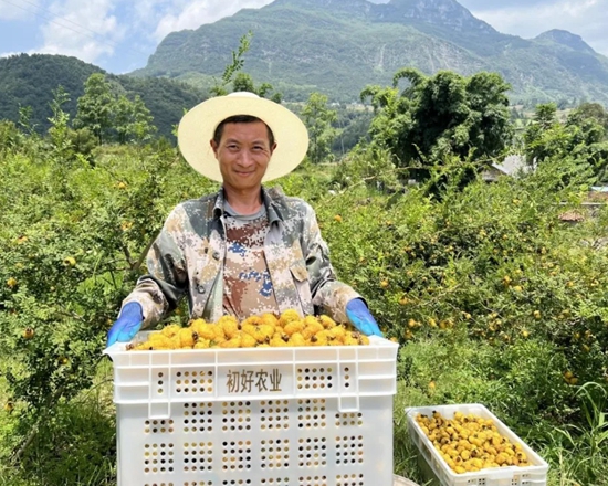 六盤水市水城區：農業農村工作成果豐碩 繪就鄉村振興新畫卷