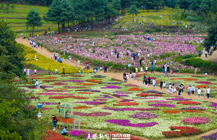 從“夏季首選”邁向“四季皆宜”｜涼都借“涼”機 文旅消費“熱力”足