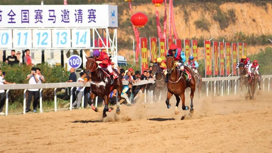 “馬王”誕生 2024“貴州村馬”三都水族端節全國賽馬邀請賽圓滿收官