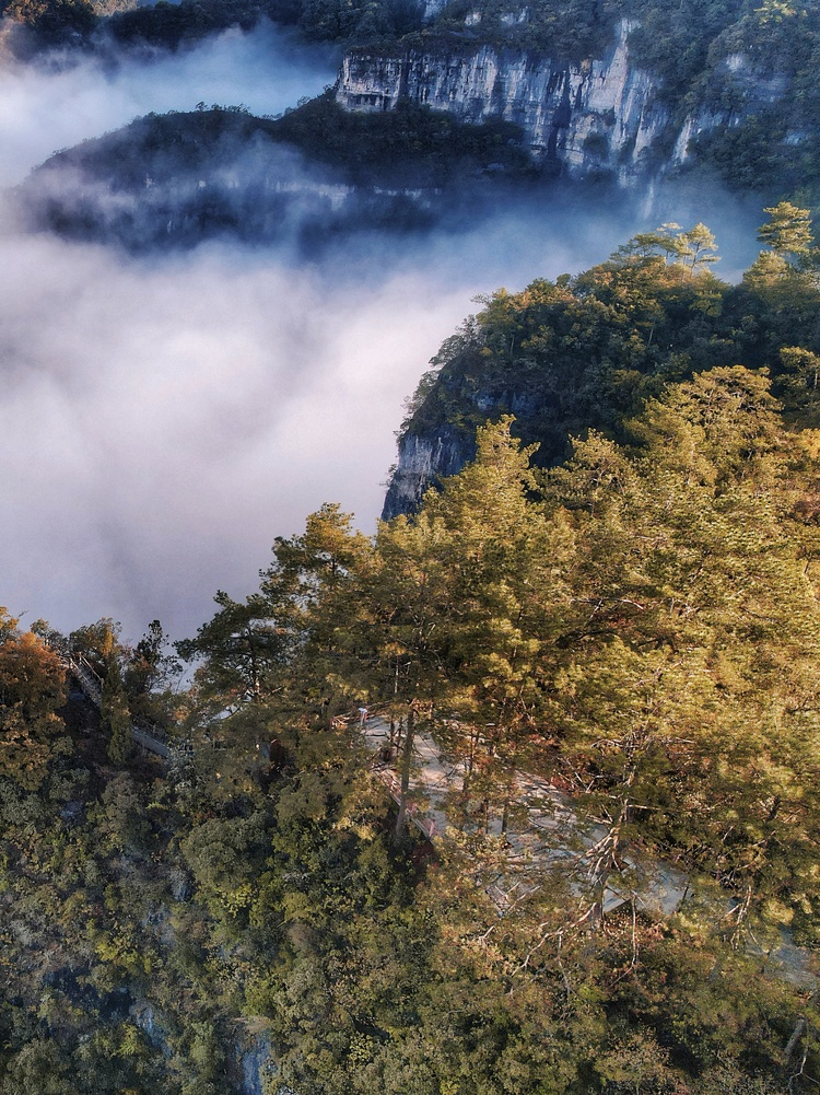 多彩貴州·世遺之美丨貴州被低估的名山 比梵凈山更早成為世界自然遺産