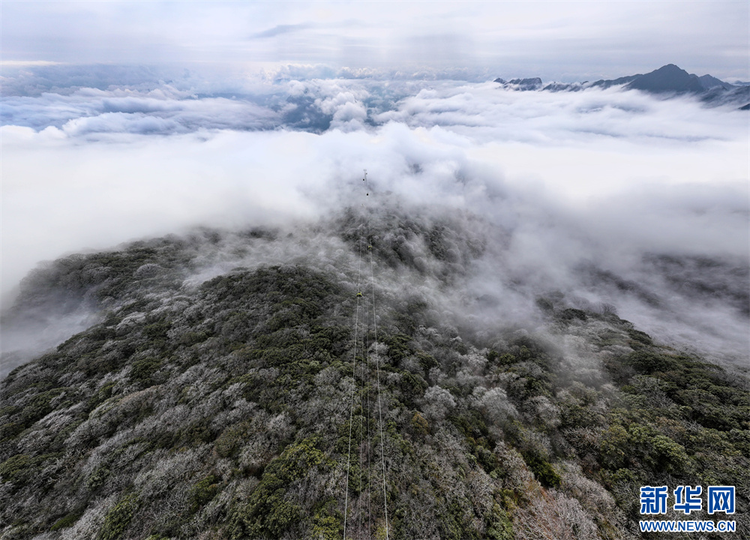 貴州梵凈山：春日雲海霧凇如畫卷