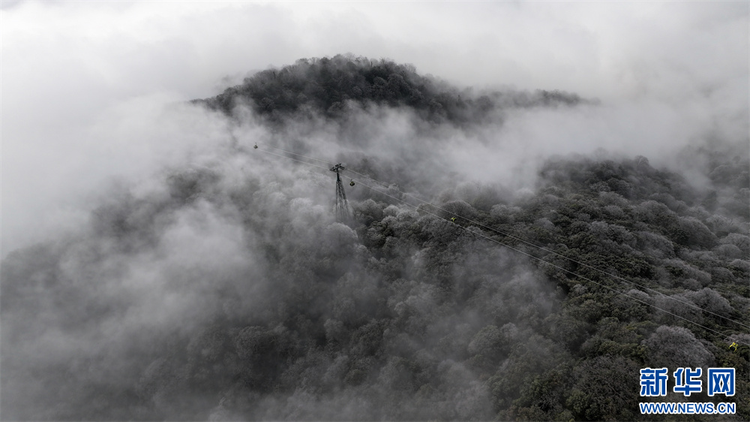 貴州梵凈山：春日雲海霧凇如畫卷