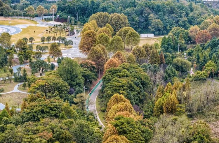 貴州山色丨賞層林盡染，看紅葉山川，用腳步探索深秋之美