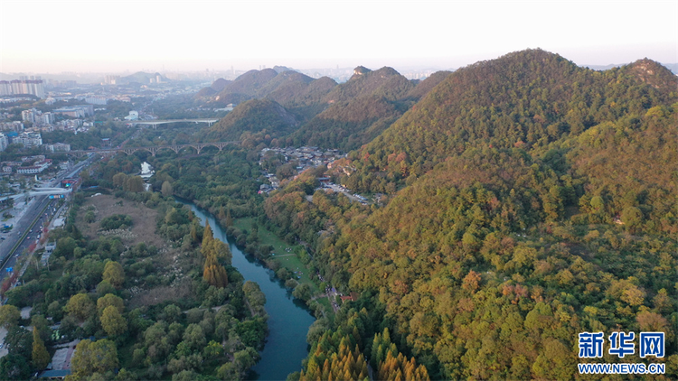 貴陽花溪：城市濕地秋意濃