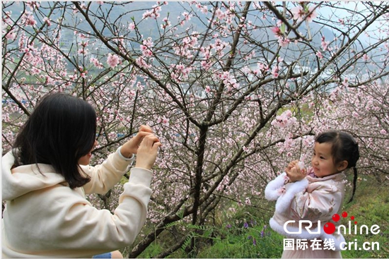 六盤水：百車河畔花飄香