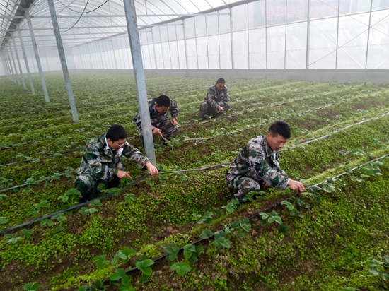 東西部扶貧協作：“善行高峰”用的是“繡花功夫”