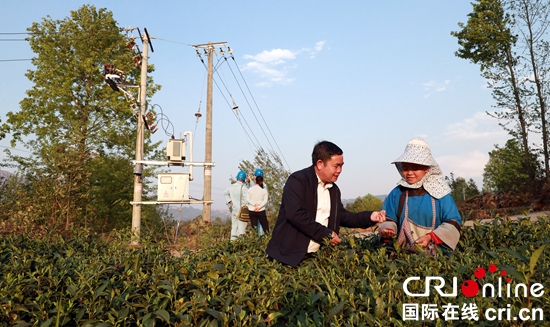 普安縣農民韋波：穩定的供電築起致富路