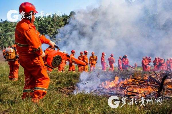 （大生態）2018年，貴陽市森林受害率為0.0129‰ 遠低於省市指標