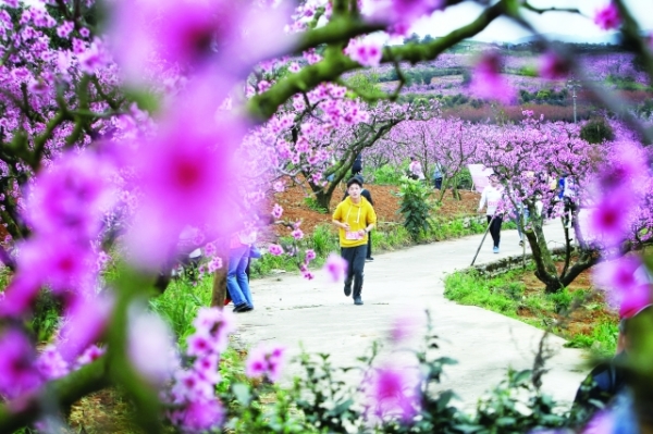 （旅遊）貴陽著力做足“花”樣文章