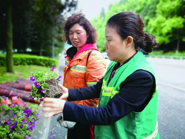 （大生態）黃維娜：扮靚城市的“護花使者”