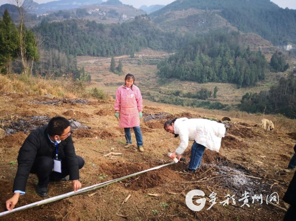 （大扶貧）貴州戰貧記：文軍扶貧在正安