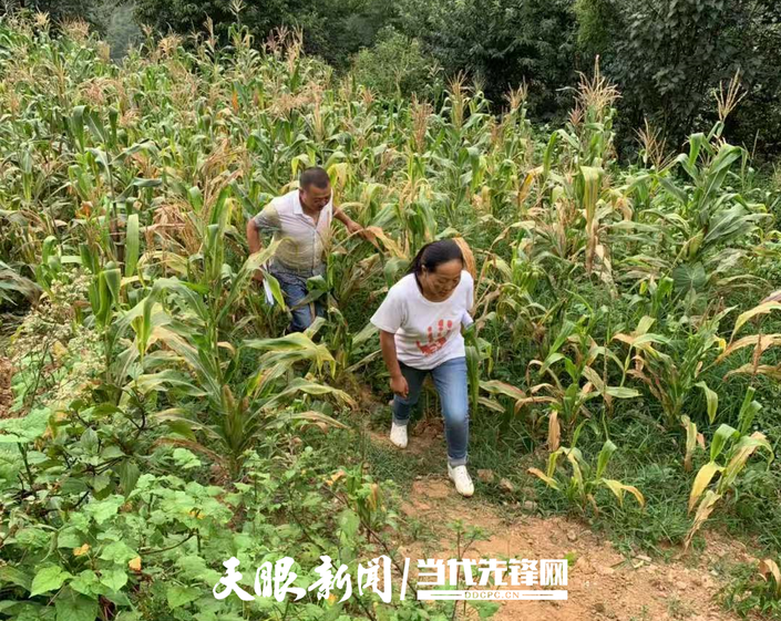 （大扶貧）等不到的身影！他走了，精神卻永遠留在脫貧攻堅戰線