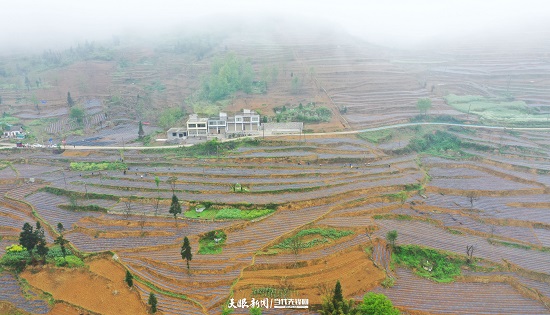 （要聞）大方縣千方百計助農增收鞏固脫貧攻堅成果