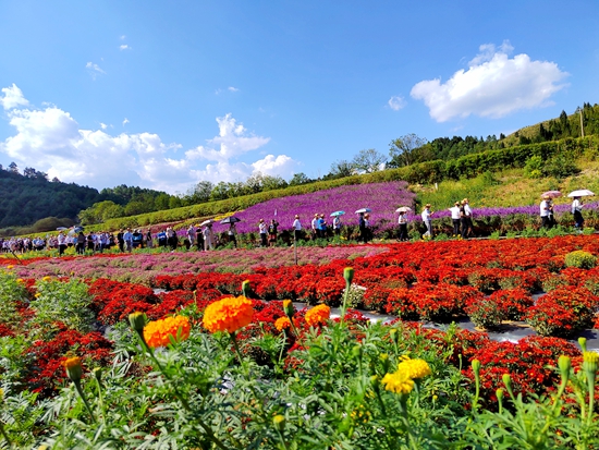 （供稿）黔東南州第十三屆旅遊産業發展大會推介會在麻江舉行_fororder_麻江2