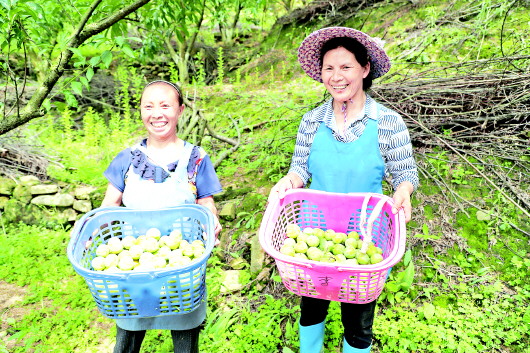 （社會）“夏秋決戰”再作為 貴州各地農村産業革命如火如荼