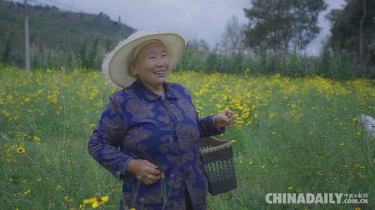 香港青年梁安莉：“貴州屋脊”綻放花季