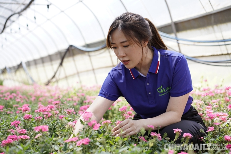 香港青年梁安莉：“貴州屋脊”綻放花季