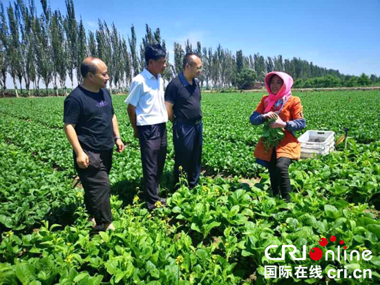 貴州紫雲赴寧夏尋覓合作夥伴