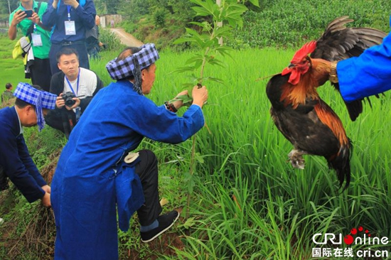 第十四屆涼都·月亮河“六月六”布依風情節在貴州六枝特區舉行