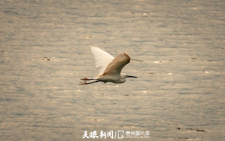 （中首）黔西南望謨：紅水河江水清清悅近人