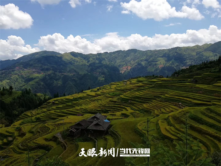 （中首）貴州持續打造國家級“生態名片” 飽蘸綠意繪山河