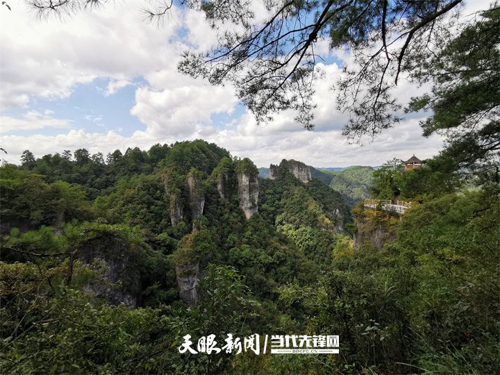 （中首）貴州持續打造國家級“生態名片” 飽蘸綠意繪山河