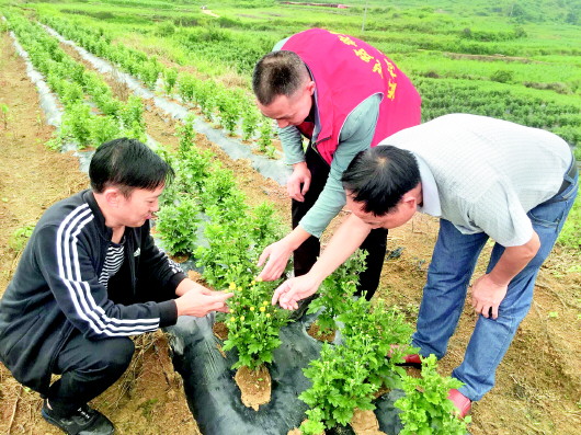 （要聞帶摘要）摘帽“四不摘”脫貧不返貧