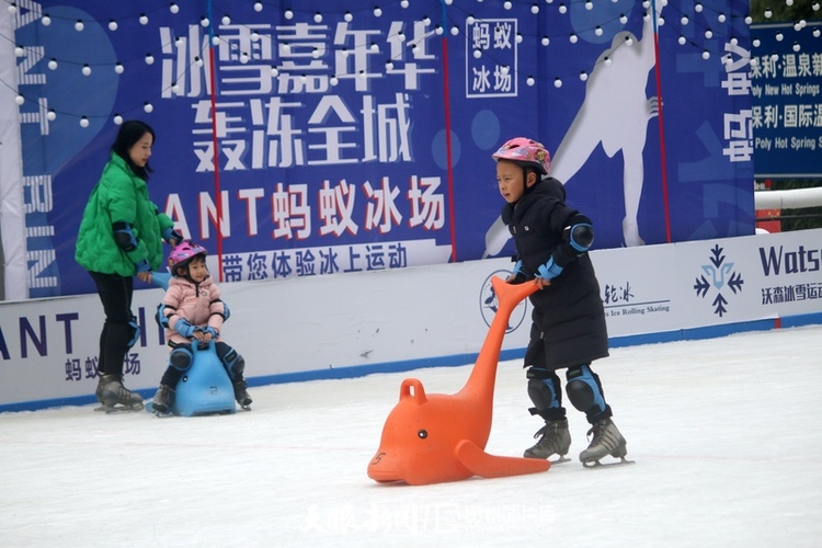 （中首）築夢冬奧丨與鴿共舞！貴陽首家真冰滑冰場引來眾多鴿子“打卡”