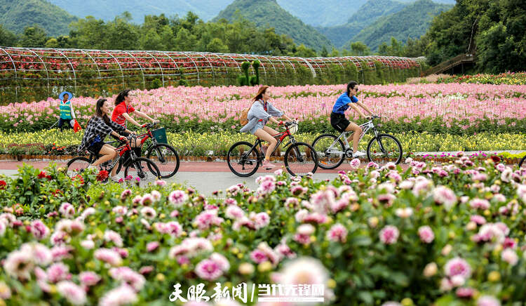 百里杜鵑鵬程街道：“林旅融合”助力鄉村振興