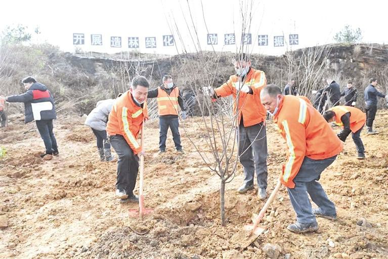 春節假期後上班第一天 貴州各地開展植樹活動—— 植樹添新綠 不負好春光_fororder_要聞1