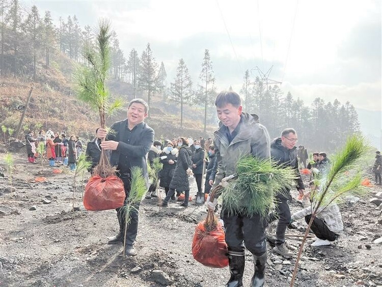 春節假期後上班第一天 貴州各地開展植樹活動—— 植樹添新綠 不負好春光_fororder_要聞2