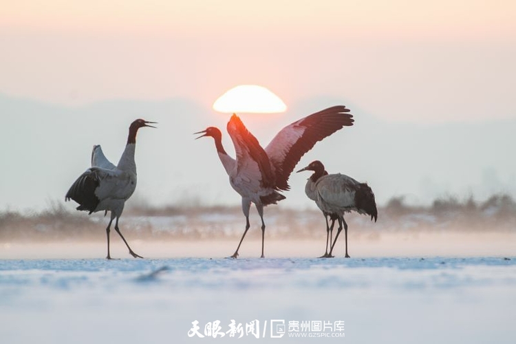 貴州威寧：春日草海 美景如畫