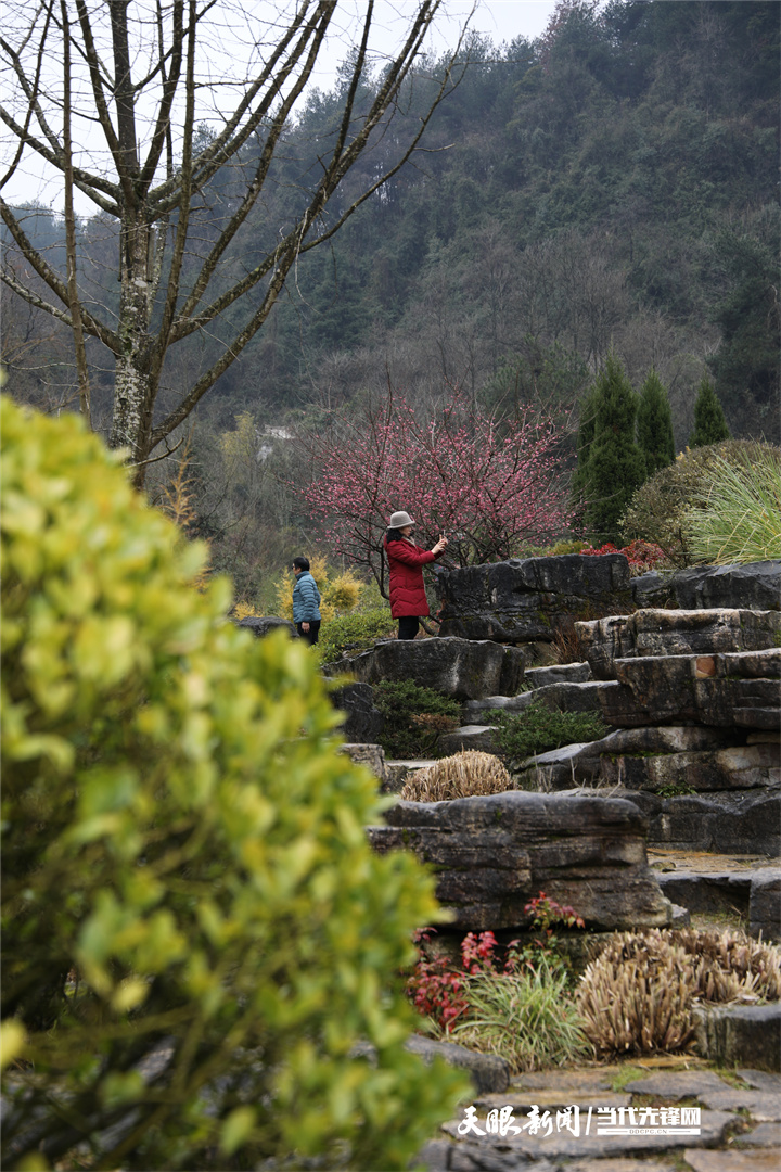 貴陽城市森林公園：擇一處清幽 綿長在光陰裏