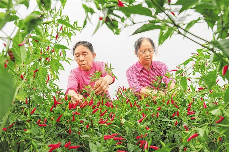 生態文明浪潮涌 綠色崛起正當時 ——黔東南州踐行“兩山”理念推動綠色發展紀實_fororder_3