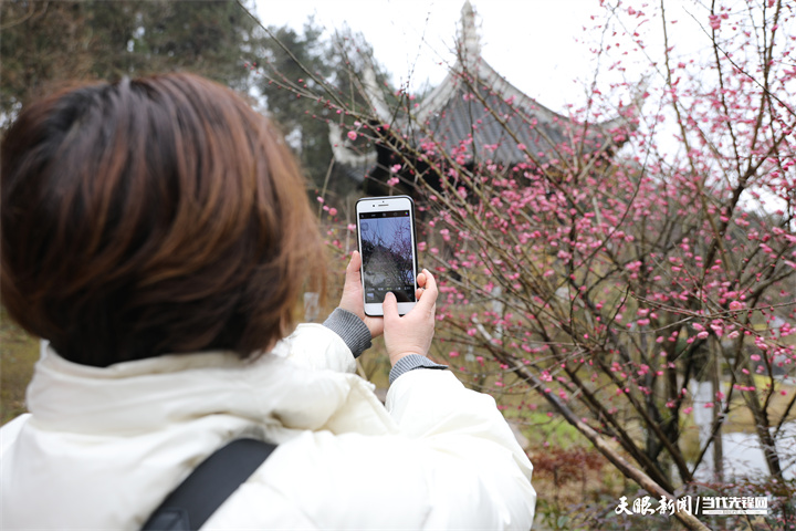 貴陽城市森林公園：擇一處清幽 綿長在光陰裏