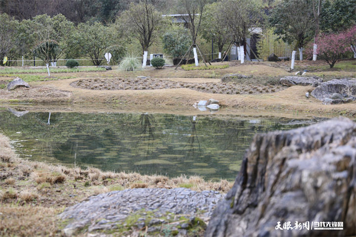 貴陽城市森林公園：擇一處清幽 綿長在光陰裏