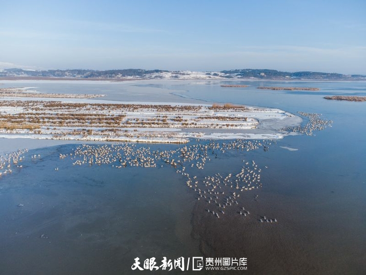 貴州威寧：春日草海 美景如畫