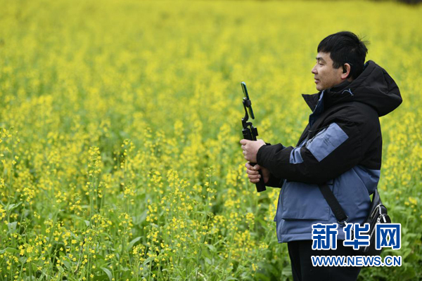 （中首）貴州培育賞花經濟推進農文體旅融合