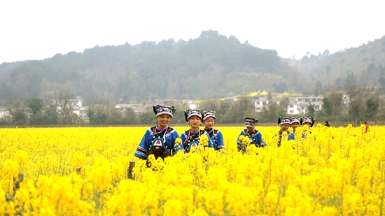 貴州平塘：春回大地萬花開_fororder_遊客遊玩花海 (1)