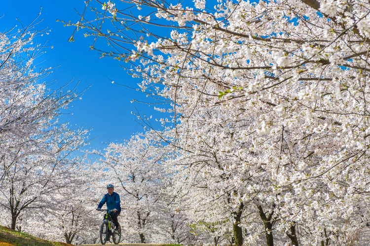 3月心動旅行清單 帶你感受貴州的春天