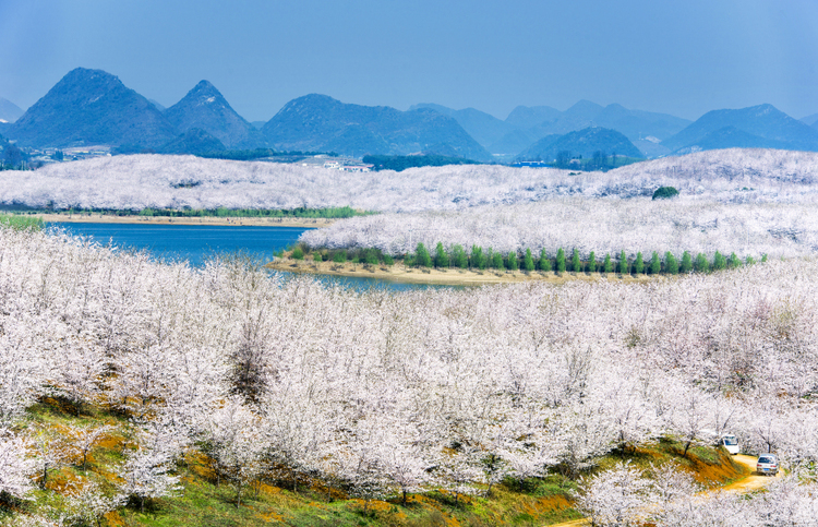 3月心動旅行清單 帶你感受貴州的春天