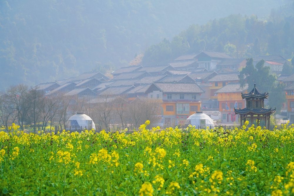 （供稿）貴州獨山：油菜花開暖意濃 獨秀峰下賞春光_fororder_5