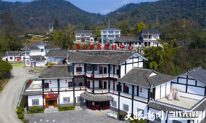 貴州：茶旅融合風光好 靠山吃山吃出“新味道”