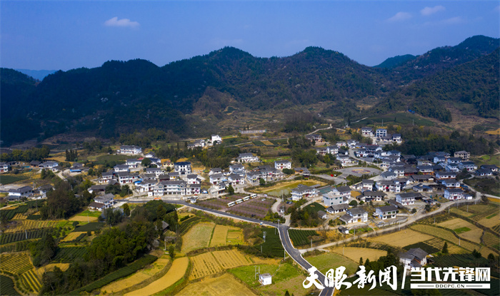 貴州：茶旅融合風光好 靠山吃山吃出“新味道”