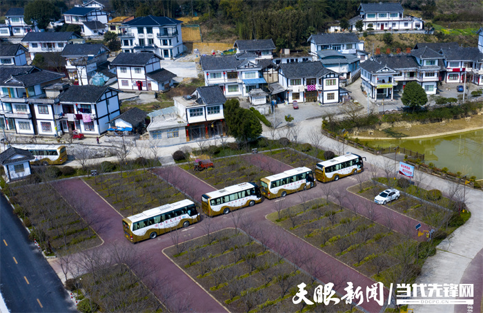 貴州：茶旅融合風光好 靠山吃山吃出“新味道”