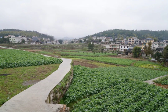 （供稿）貴州思南：“莞思共建”繪就特色田園鄉村新畫卷_fororder_棗樹坪村實施基礎設施提質工程，村子越來越美 黎之義供圖