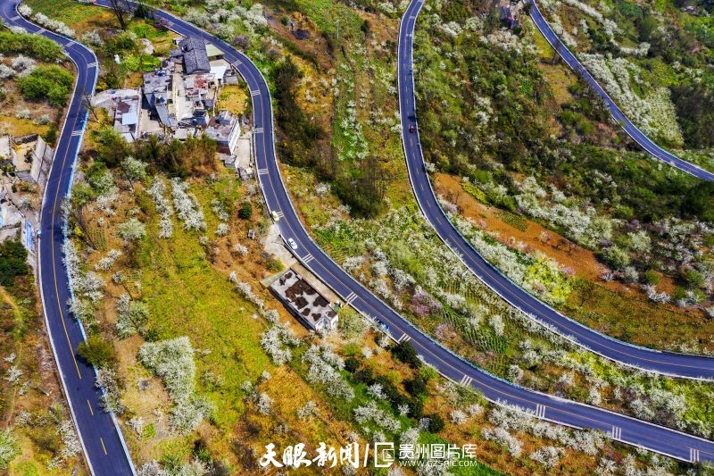 貴州黔西：一路風景 一路歌