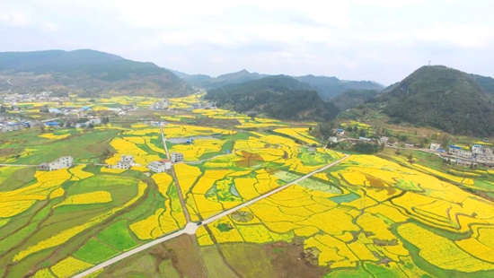 貴州都勻：扮靚鄉村景色 推進鄉村振興